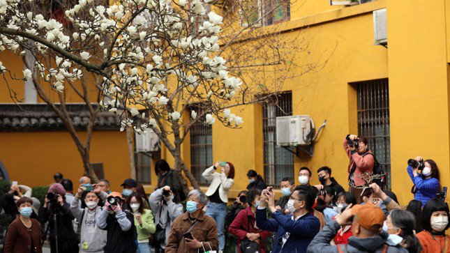 Du khách nườm nượp check-in khiến chùa Pháp Hỷ trở nên ồn ã.