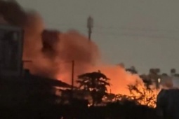 Tin tức trong ngày - Nhà cháy, chủ lao vào cứu 2 con chó