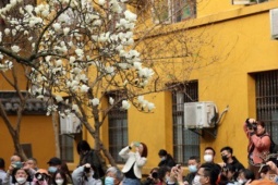 Du lịch - Đổ xô, chen lấn chỉ để check-in với một cây hoa