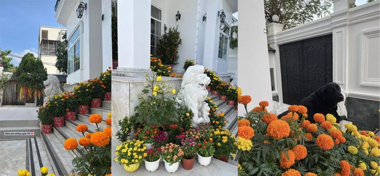 Biệt thự triệu đô nằm trong khu đất đắt đỏ của vợ chồng Tăng Thanh Hà - 2