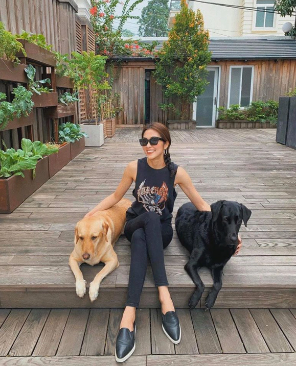 Biệt thự triệu đô nằm trong khu đất đắt đỏ của vợ chồng Tăng Thanh Hà - 4