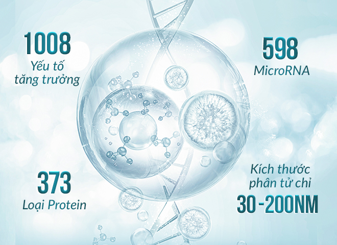  Các thành phần chính có trong hoạt chất Exosome Ultra 