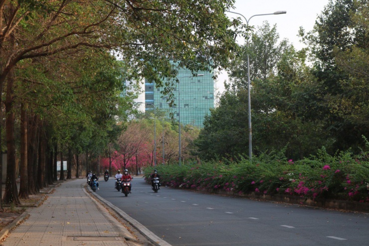 Một chiều êm ả, dạo xe quanh các cung đường này bao mệt mỏi, áp lực học tập hay công việc đều như tan biến, con người cũng trở nên thư thái yêu đời hơn.