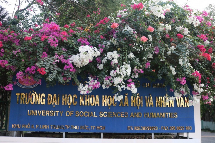 Hoa giấy rực rỡ màu sắc bao trùm cả biển hiệu tên trường.