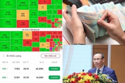 Thị trường chứng khoán phá đỉnh trong năm 2024: Kẻ cười, người khóc