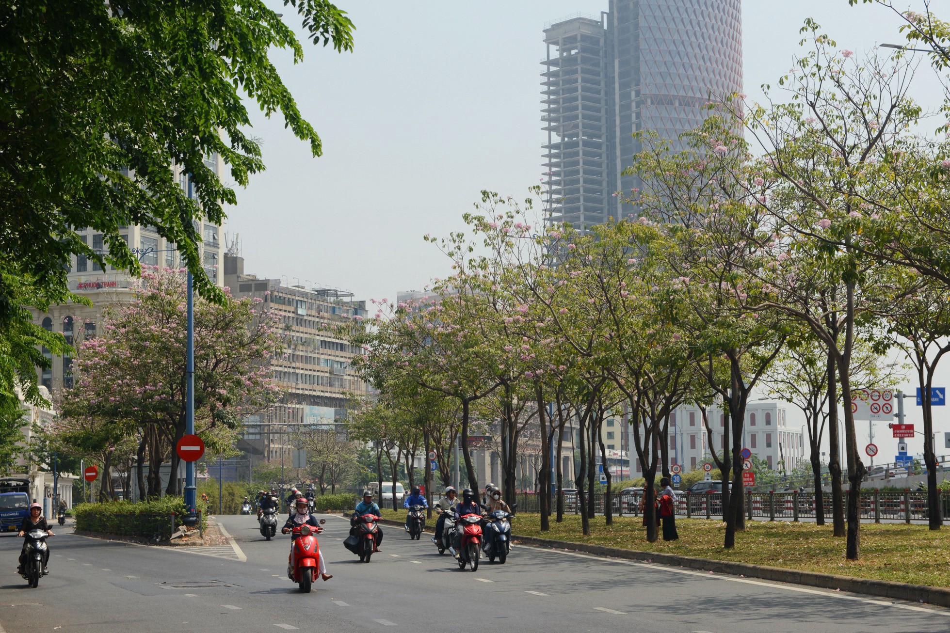 Không chỉ giúp giảm bớt cái nắng gắt, những tán cây và hoa hèn hồng còn khiến đường phố thêm phần thơ mộng.