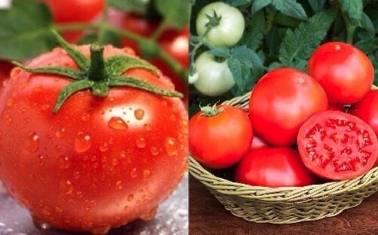 Giảm cân bằng cà chua, bạn đã biết cách ăn đúng? - 1