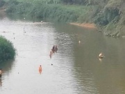 Tin tức trong ngày - 7 học sinh rủ nhau tắm sông, 2 em bị đuối nước