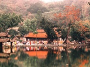 Du lịch - Ngắm hoa gạo nở đỏ rực bên ngôi chùa ngàn năm tuổi ở Hà Nội