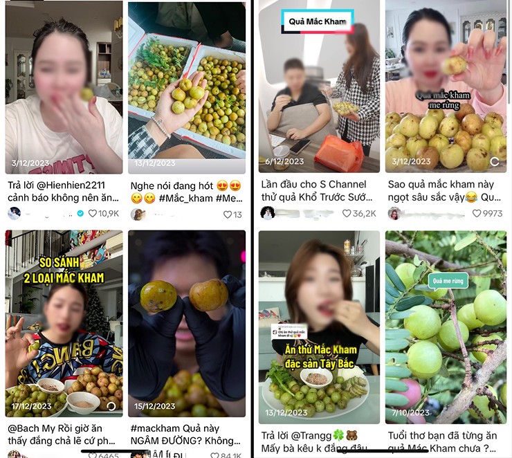 Trên các trang mạng xã hội từng rầm rộ các bài viết, video ăn thử một loại quả vừa chát vừa chua. Đó là quả mắc kham hay còn gọi là quả me rừng, quả chùm ruột núi.
