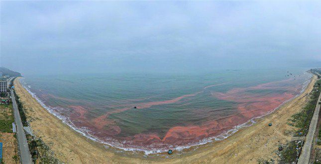 Nước biển xuất hiện màu đỏ lạ ở biển thuộc huyện Cẩm Xuyên (Hà Tĩnh). Ảnh TPO