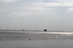 Pháp luật - Nam thanh niên đi bắt nghêu, bị đánh tử vong