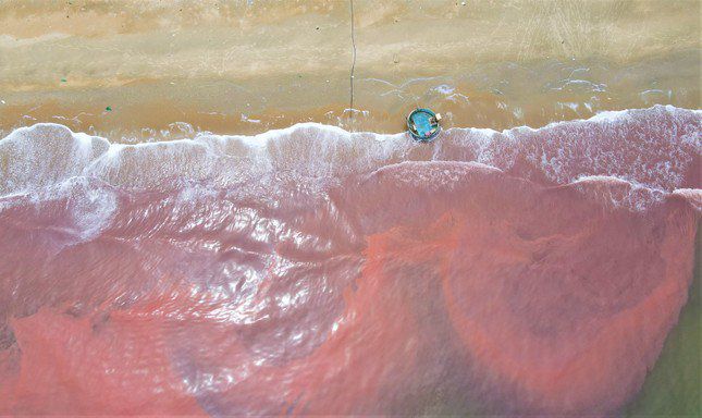 Vệt đỏ lạ xuất hiện ở vùng biển Hà Tĩnh là do hiện tượng tảo nở hoa. Ảnh TPO