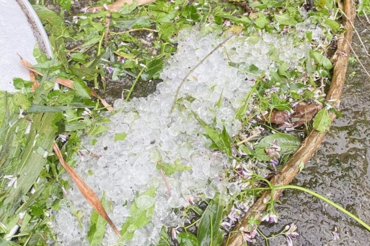 Mưa đá phủ trắng mặt đất ở miền núi phía Bắc - 10