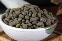 Thị trường - Tiêu dùng - Nuôi loại chuột biết bay, đút túi hàng trăm triệu/năm