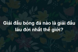 Giáo dục - du học - Bộ câu đố dành cho những người thông thái nhất