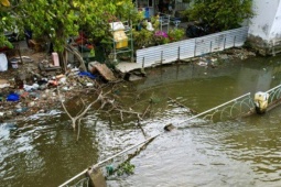 Tin tức trong ngày - Sạt lở nghiêm trọng kéo dài, kè Thanh Đa nguy cơ bị nhấn chìm