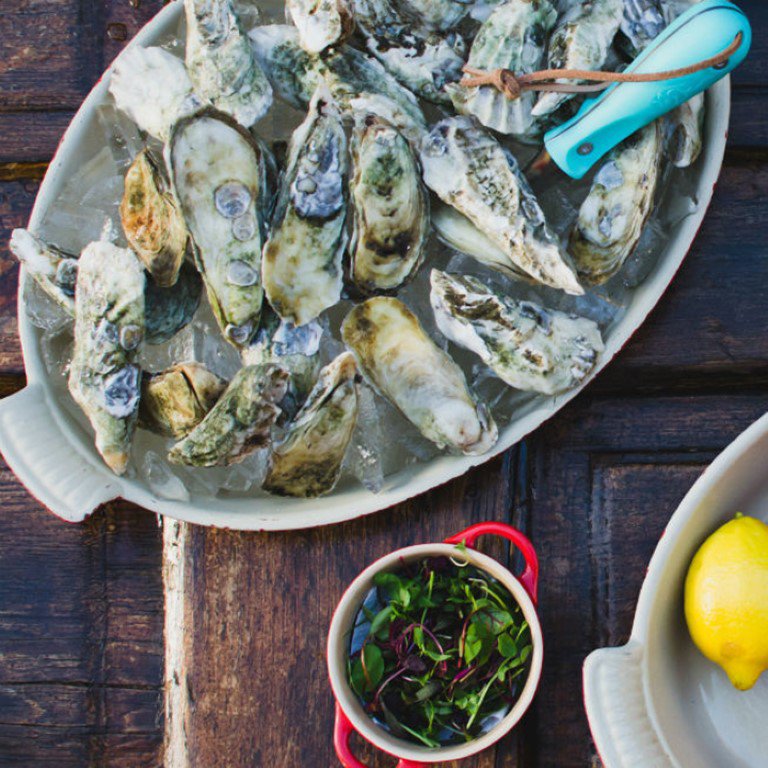 Mách chàng 8 loại cá thơm ngon, tốt nhất để ăn - 9