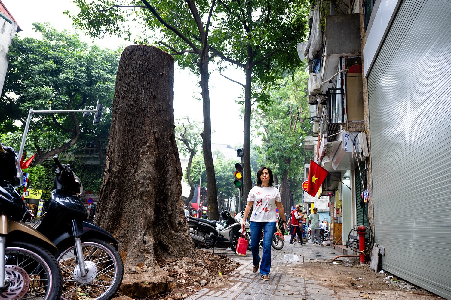 Một người dân sống ở khu vực này chia sẻ: "Chúng tôi không khỏi tiếc nuối khi nhìn thấy hàng cây sao đen đang xanh tốt mà chết dần. Từ khi sinh ra, hàng cây đã mọc thẳng tắp, đó là kỷ niệm và cũng là niềm tự hào của chúng tôi, vì đi khắp Hà Nội không có con đường nào có hàng cây sao đen đẹp như thế này".