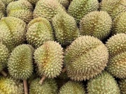 Thị trường - Tiêu dùng - Giá sầu riêng tăng cao kỷ lục