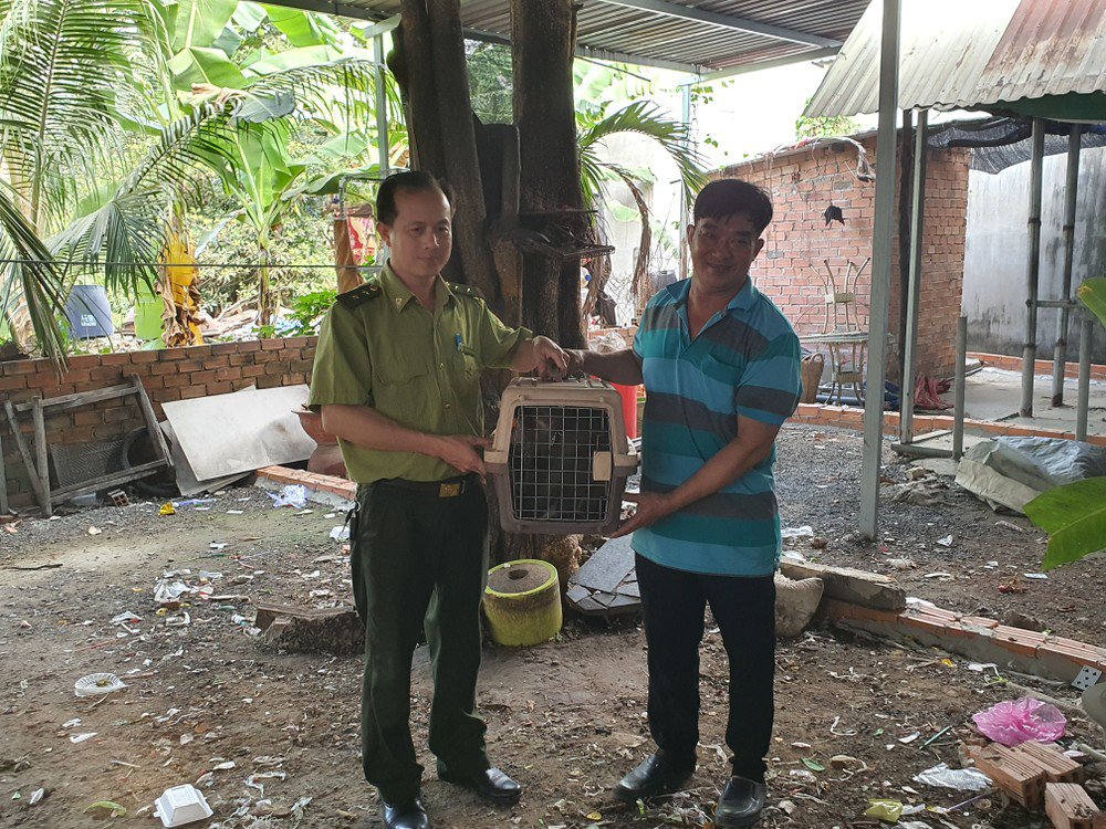 Ông Sang cho biết đã nuôi con khỉ được hơn ba năm nhưng muốn bàn giao để con vật có cuộc sống tốt hơn. Ảnh: NT