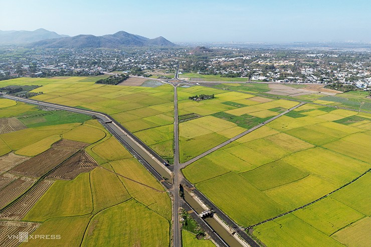 Đường ruộng ở Bà Rịa - Vũng Tàu - 11