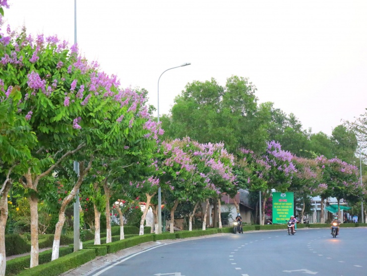 Con đường đẹp nhất Vĩnh Long "gây thương nhớ" - 4