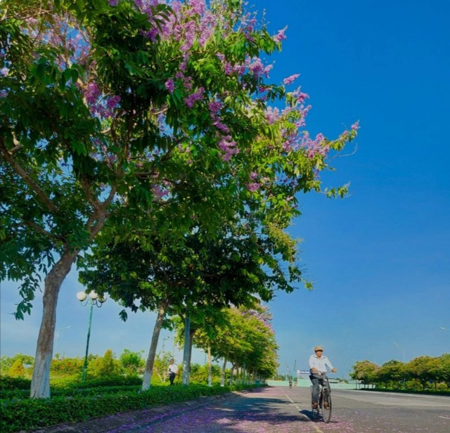 Con đường đẹp nhất Vĩnh Long "gây thương nhớ" - 12