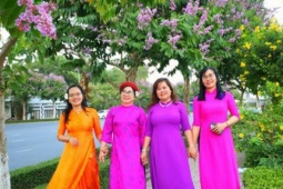 Du lịch - Con đường đẹp nhất Vĩnh Long "gây thương nhớ"