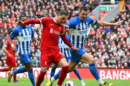 Video bóng đá Liverpool - Brighton: Bừng tỉnh đúng lúc, dàn sao trút giận (Ngoại hạng Anh)