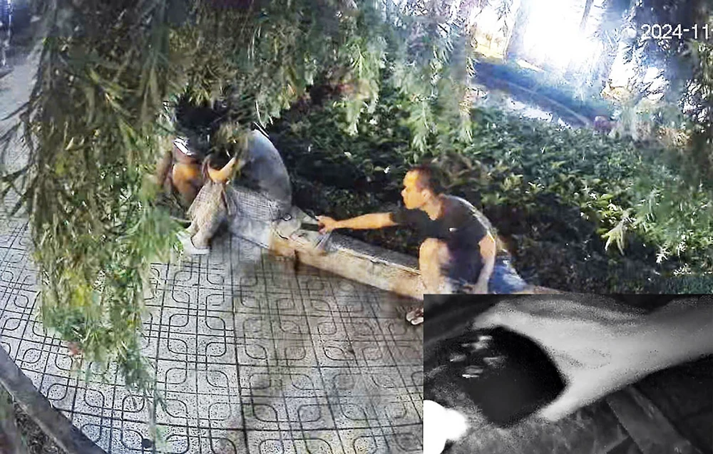 Dương Nhật Tân trộm điện thoại của đôi tình nhân ở vòng xoay bồn hoa tại Công viên Tầm Vu vào ngày 10-11-2024. Ảnh trong bài: NGUYỄN TÂN - PHẠM HẢI