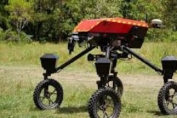 Media - Robot chăn gia súc thông minh đầu tiên trên thế giới