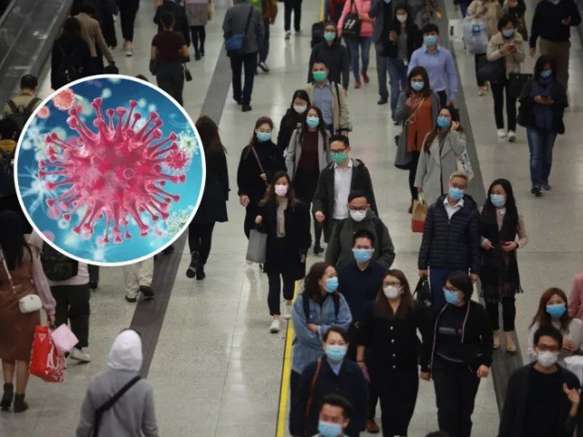 Biết gì về HMPV - virus đang lây ở Trung Quốc?
