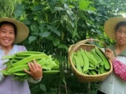 Thị trường - Tiêu dùng - Đậu khổng lồ kịch độc, người châu Á vẫn ăn ầm ầm