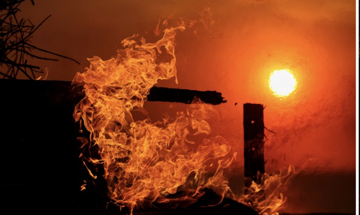 Kinh đô điện ảnh Hollywood chìm trong cháy rừng, biệt thự của nhiều ngôi sao cháy rụi - 5