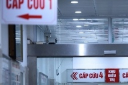 Sức khỏe đời sống - Hai vợ chồng phải đi cấp cứu sau khi đuổi bắt chuột