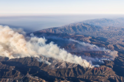 Cháy rừng ở Los Angeles: Tăng gấp đôi lực lượng vệ binh dập bão lửa lan rộng vì gió lớn