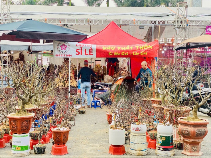 Nhiều tiểu thương chia sẻ, năm nay do kinh tế
khó khăn nên lượng người mua hàng ở thời điểm hiện tại vẫn chưa
cao.