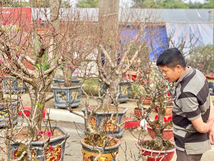 Giá trị của đào Thất Thốn không chỉ ở hoa và
lộc, mà còn bởi hầu hết đều có dáng thế hoàn toàn tự nhiên, mang vẻ
đẹp nguyên bản, đơn sơ.