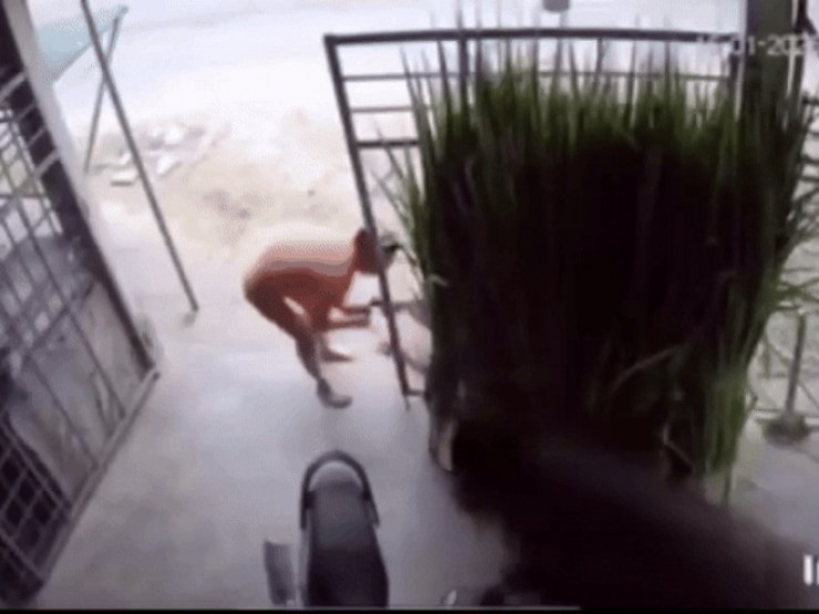 Video trâu điên húc gia chủ trọng thương