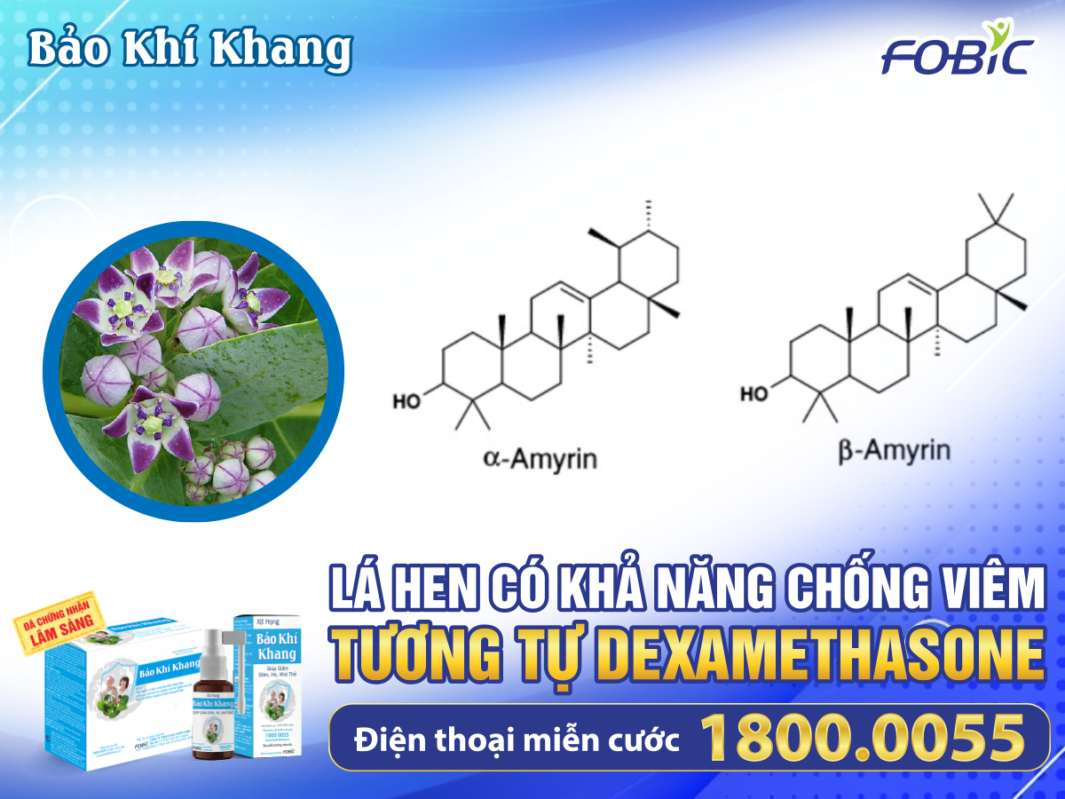 Ngỡ ngàng với loạt thực phẩm cực quen thuộc nhưng "tàn phá" phổi nhanh hơn cả thuốc lá! - 3