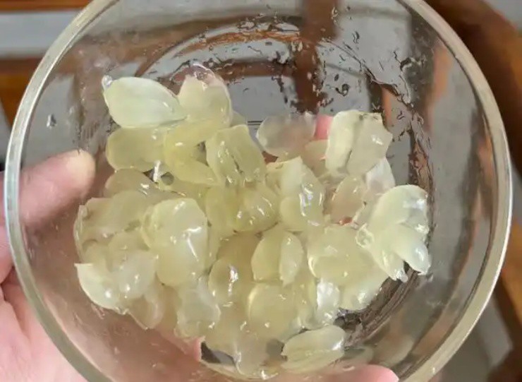 “Hạt tổ yến” là gì mà giá hơn 2 triệu/kg, ở Việt Nam cũng có mà ít ai để ý - 1