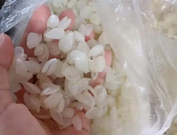 “Hạt tổ yến” là gì mà giá hơn 2 triệu/kg, ở Việt Nam cũng có mà ít ai để ý - 4