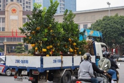 Kinh doanh - Xe ôm công nghệ “bỏ khách” dịp cận Tết để làm việc này, kiếm tiền triệu mỗi ngày