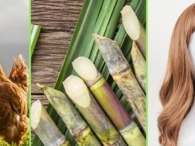 Tặng mía, tóc giả, gà vịt làm quà Tết cho nhân viên