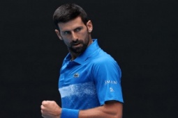 Djokovic nhận lời xin lỗi của MC, Nole sai nhưng chưa chắc đã bị phạt
