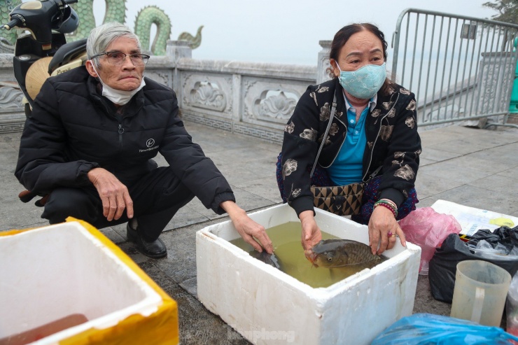 Năm nay gia đình ông Lê Toàn (quận Ba Đình) đã thả ra Hồ Tây 2 con cá chép trứng nặng gần 10kg.
