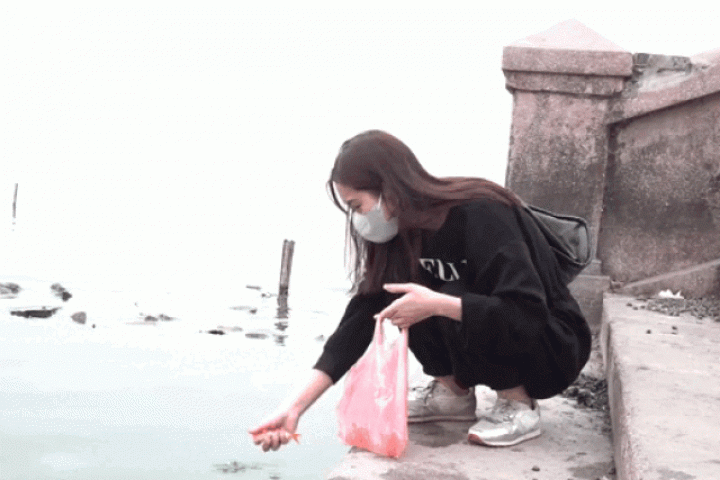 Media - Người Hà Nội thả cá tiễn ông Công ông Táo về trời theo cách văn minh