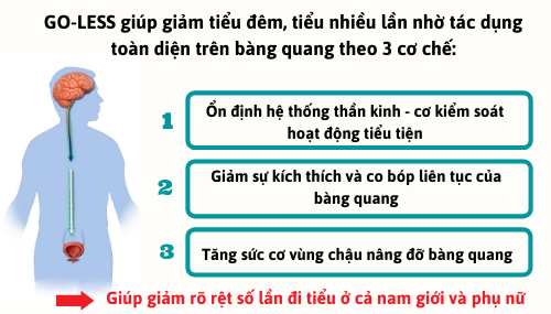 Cơ chế tác động toàn diện của nguyên liệu GO-LESS từ Thụy Sỹ