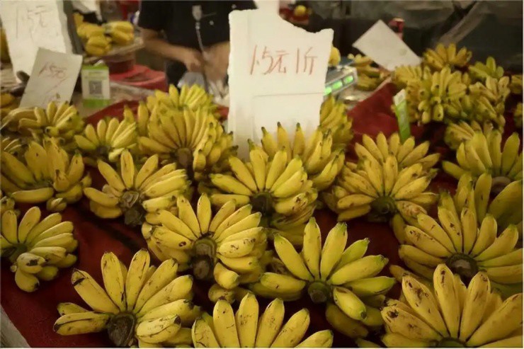 Hải sản ở đây rẻ như rau, dân siêu ít, cảnh đẹp tựa “thiên đường” - 6